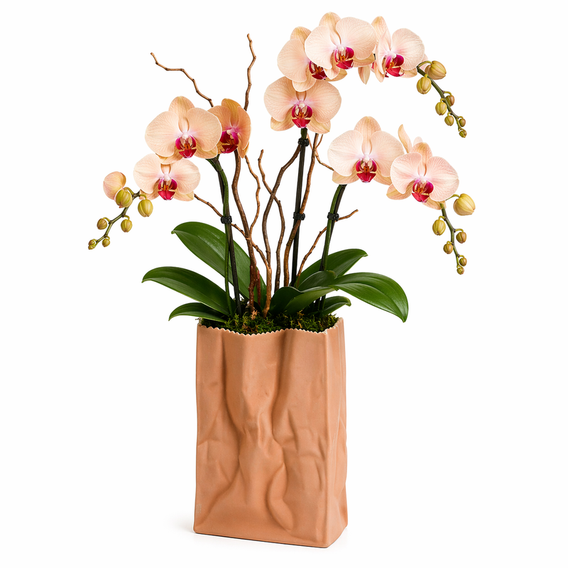 Rosenthal Paper Bag Vase Natural 18cm