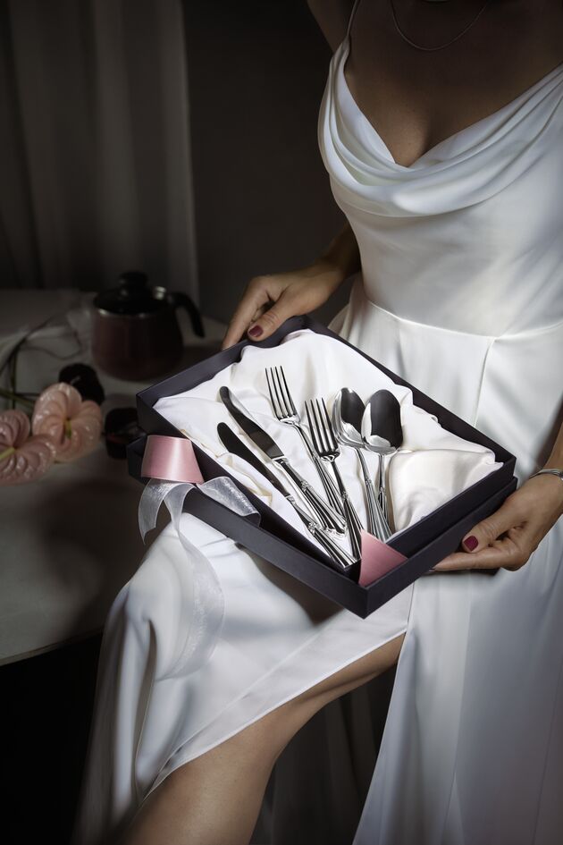 WMF Fächer Cutlery Set 66-piece