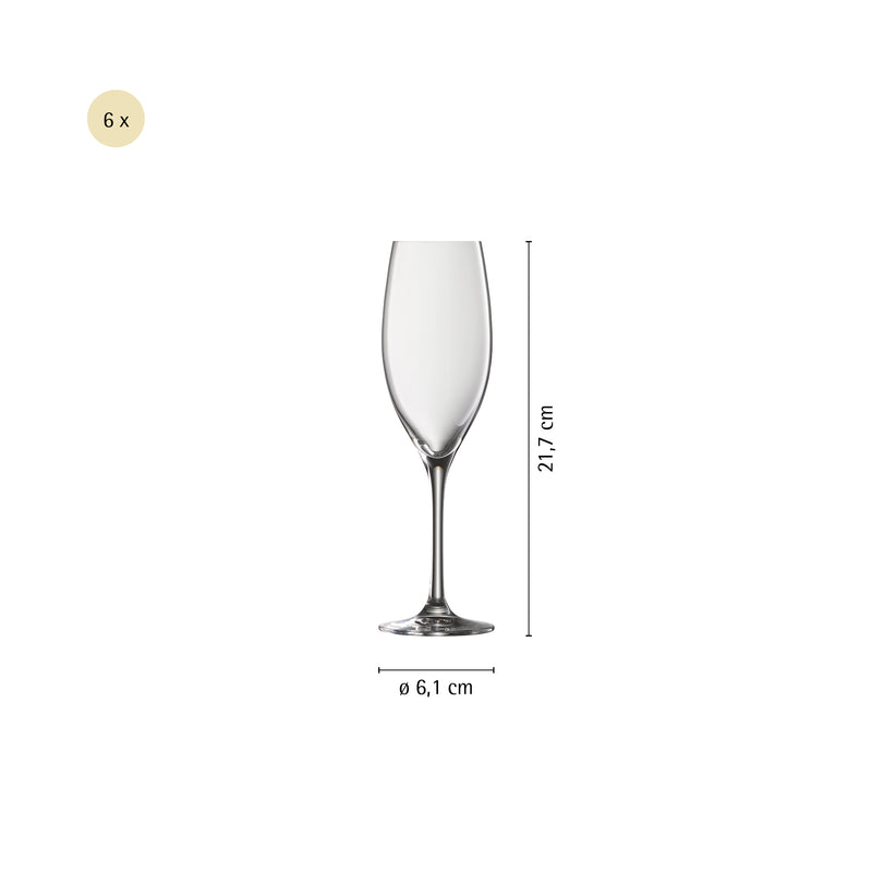 WMF Easy Plus Champagne Glass Set 6-piece